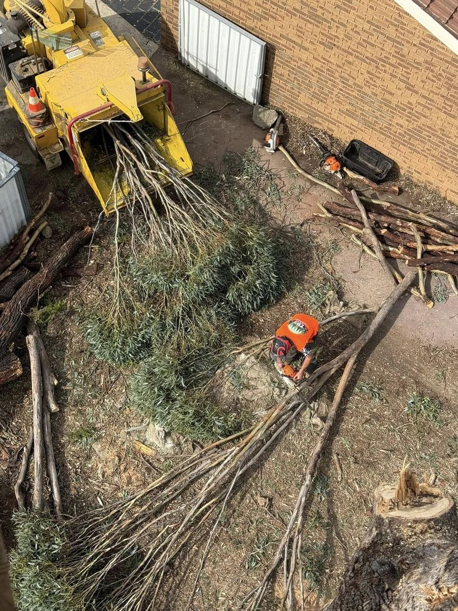 Stump Grinding in Bendigo by TB'S Trees, Bendigo